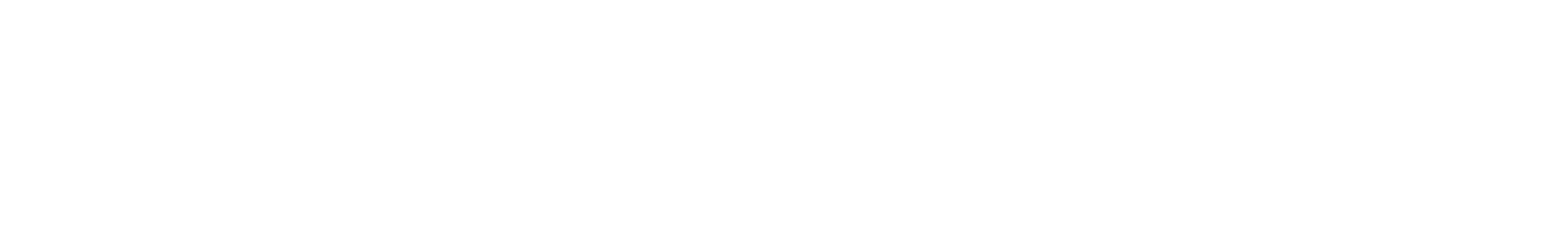 Synapsys